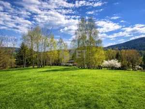 Prodej zahrady, Horní Bečva, 4093 m2