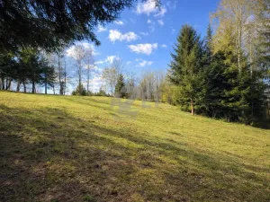 Prodej zahrady, Horní Bečva, 4093 m2