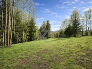 Prodej zahrady, Horní Bečva, 4093 m2