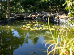 Prodej rodinného domu, Strážovice, 354 m2