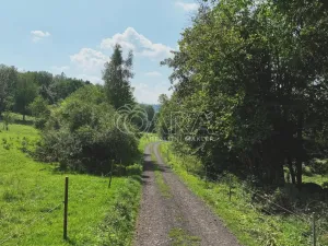 Prodej sadu/vinice, Vojkovice - Jakubov, 199287 m2