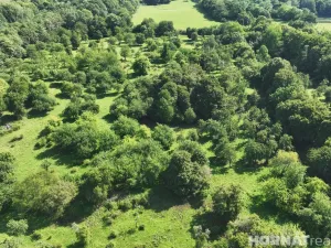 Prodej louky, Vojkovice - Jakubov, 199287 m2