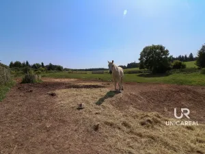 Prodej rodinného domu, Kamenná Horka, 273 m2