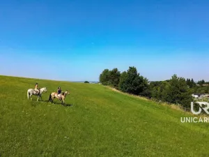 Prodej rodinného domu, Kamenná Horka, 273 m2