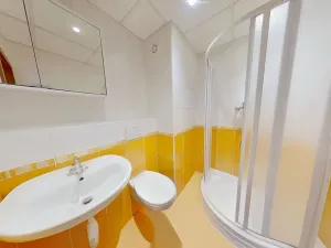 Pronájem bytu 1+1, Třebíč, Hartmannova, 32 m2