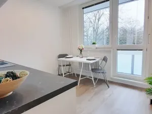 Pronájem bytu 1+1, Brno, Fričova, 46 m2