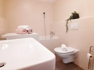 Pronájem bytu 1+kk, Brno, Šemberova, 51 m2