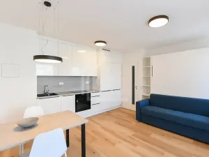 Pronájem bytu 1+kk, Praha - Kamýk, Hodkovická, 30 m2