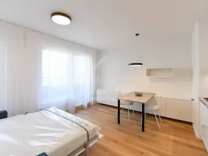 Pronájem bytu 1+kk, Praha - Kamýk, Hodkovická, 30 m2