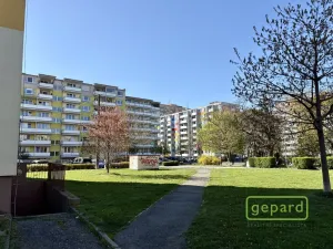 Pronájem bytu 3+1, Olomouc, Jeremiášova, 69 m2