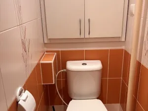 Prodej bytu 3+1, Ostrava - Poruba, Vietnamská, 66 m2