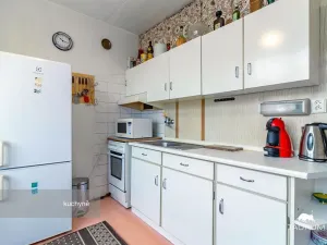 Prodej bytu 3+1, Plasy, Potoční, 74 m2