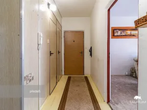 Prodej bytu 3+1, Plasy, Potoční, 74 m2