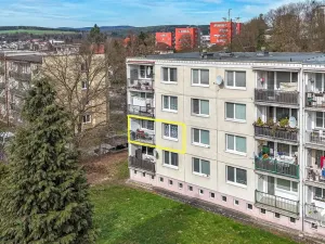 Prodej bytu 3+1, Plasy, Potoční, 74 m2