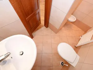 Pronájem rodinného domu, Světice, Na Spojce, 320 m2