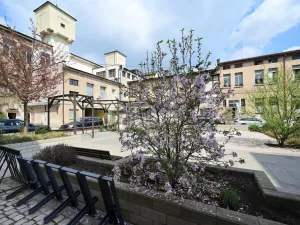 Pronájem ordinace, Hradec Králové, Pospíšilova, 55 m2