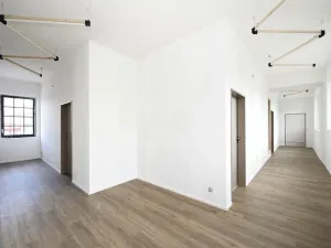 Pronájem ordinace, Hradec Králové, Pospíšilova, 55 m2