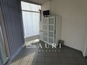 Prodej obchodního prostoru, Rakovník, Dukel. hrdinů, 412 m2