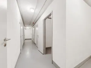 Pronájem bytu 2+kk, Praha - Žižkov, Kunešova, 65 m2