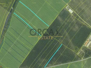 Prodej pole, Moravská Nová Ves, 13376 m2