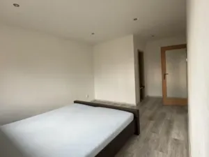 Pronájem bytu 2+kk, Karviná - Ráj, Dačického, 53 m2