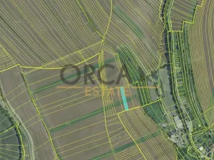 Prodej pole, Zdounky, 2140 m2