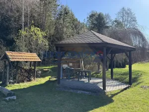 Pronájem vícegeneračního domu, Slavče, 333 m2