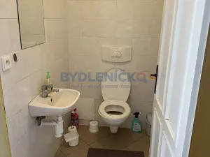 Pronájem vícegeneračního domu, Slavče, 333 m2