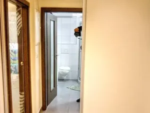 Pronájem bytu 1+kk, Plzeň, U Borských kasáren, 40 m2