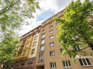 Prodej bytu 1+1, Brno, Čápkova, 54 m2
