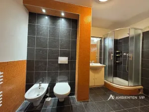 Prodej bytu 1+1, Brno, Čápkova, 54 m2