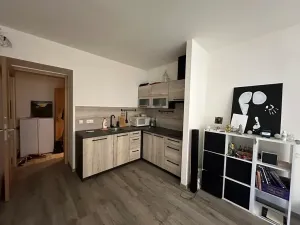 Pronájem bytu 1+kk, Praha - Bubeneč, dr. Zikmunda Wintra, 31 m2