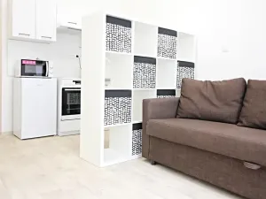 Pronájem bytu 1+kk, Brno, Koliště, 26 m2