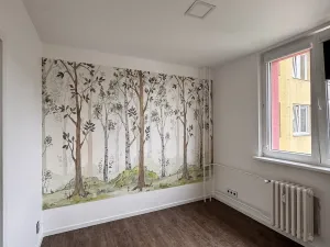 Pronájem bytu 3+1, Opava, Ratibořská, 67 m2