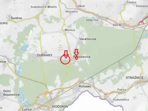 Prodej podílu lesa, Ratíškovice, 2864 m2