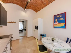 Pronájem bytu 1+1, Praha - Nové Město, Hálkova, 46 m2