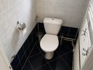 Prodej rodinného domu, Horky, 180 m2