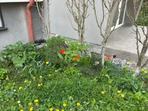 Prodej bytu 4+1, Kroměříž, Talichova, 96 m2