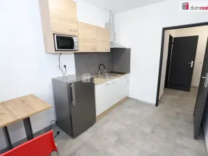 Pronájem bytu 1+kk, Přimda - Újezd pod Přimdou, 15 m2