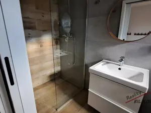 Pronájem atypického bytu, Brandýs nad Labem-Stará Boleslav, Dr. Jánského, 44 m2