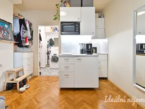 Pronájem bytu 1+kk, Brno - Královo Pole, Ruská, 20 m2