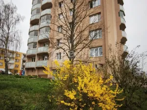 Pronájem bytu 2+1, Náměšť nad Oslavou, Nad Příhořím, 57 m2