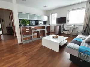 Pronájem bytu 2+kk, Nový Jičín, Vrchlického, 45 m2