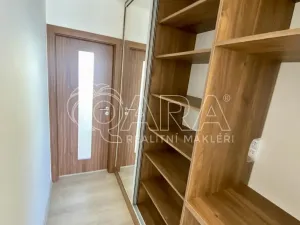 Pronájem bytu 1+1, Vyškov - Vyškov-Předměstí, 41 m2