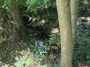 Prodej ubytování, Bílé Poličany, 1000 m2