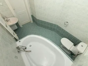 Pronájem bytu 2+kk, Praha - Vršovice, Orelská, 60 m2