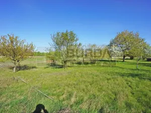 Prodej zahrady, Mělník, 9817 m2