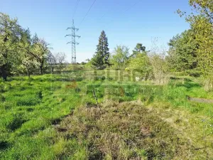 Prodej zahrady, Mělník, 9817 m2