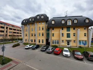 Pronájem bytu 2+kk, Olomouc, Wellnerova, 62 m2