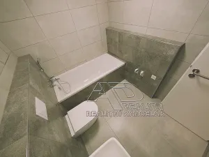 Pronájem bytu 1+kk, České Budějovice, Na Zlaté stoce, 28 m2